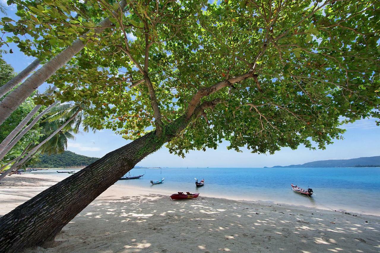 Baan Chao Lay Villa Lipa Noi Buitenkant foto